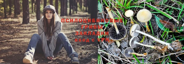спиды Верхний Тагил