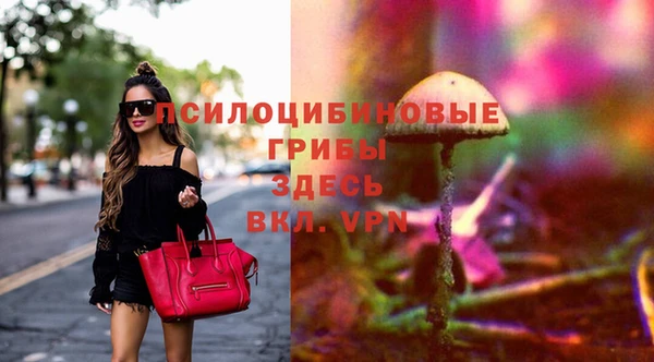 твердый Верея