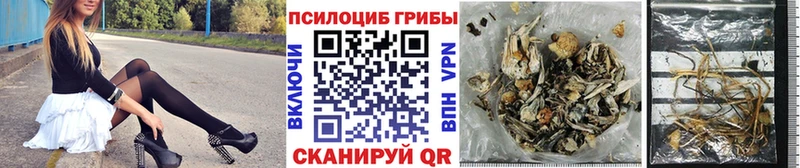 Галлюциногенные грибы прущие грибы  Купить закладки  Льгов 