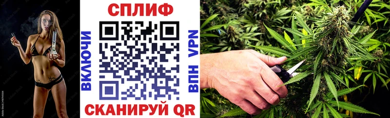 Бошки Шишки планчик  Купить  Льгов 
